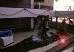 Standbild Koi Teich und Springbrunnen in Honolulu 1973 Honolulu Hawaii USA, 1973, aus Sekunde 58 historischem Filmmaterial Videoclip 65675020958