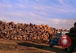 Standbild Holzstapel California United States USA, 1967, aus Sekunde 9 historischem Filmmaterial Videoclip 65675020971