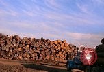 Standbild Holzstapel California United States USA, 1967, aus Sekunde 10 historischem Filmmaterial Videoclip 65675020971