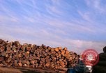 Standbild Holzstapel California United States USA, 1967, aus Sekunde 11 historischem Filmmaterial Videoclip 65675020971
