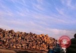 Standbild Holzstapel California United States USA, 1967, aus Sekunde 12 historischem Filmmaterial Videoclip 65675020971