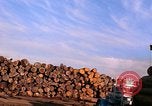 Standbild Holzstapel California United States USA, 1967, aus Sekunde 13 historischem Filmmaterial Videoclip 65675020971