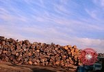 Standbild Holzstapel California United States USA, 1967, aus Sekunde 14 historischem Filmmaterial Videoclip 65675020971