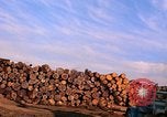 Standbild Holzstapel California United States USA, 1967, aus Sekunde 16 historischem Filmmaterial Videoclip 65675020971