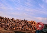 Standbild Holzstapel California United States USA, 1967, aus Sekunde 17 historischem Filmmaterial Videoclip 65675020971