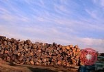 Standbild Holzstapel California United States USA, 1967, aus Sekunde 18 historischem Filmmaterial Videoclip 65675020971