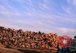 Standbild Holzstapel California United States USA, 1967, aus Sekunde 20 historischem Filmmaterial Videoclip 65675020971