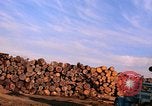 Standbild Holzstapel California United States USA, 1967, aus Sekunde 22 historischem Filmmaterial Videoclip 65675020971
