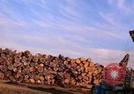 Standbild Holzstapel California United States USA, 1967, aus Sekunde 23 historischem Filmmaterial Videoclip 65675020971