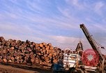 Standbild Holzstapel California United States USA, 1967, aus Sekunde 24 historischem Filmmaterial Videoclip 65675020971