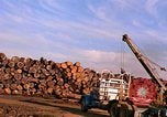 Standbild Holzstapel California United States USA, 1967, aus Sekunde 26 historischem Filmmaterial Videoclip 65675020971