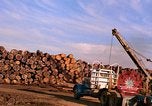 Standbild Holzstapel California United States USA, 1967, aus Sekunde 28 historischem Filmmaterial Videoclip 65675020971