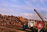 Standbild Holzstapel California United States USA, 1967, aus Sekunde 29 historischem Filmmaterial Videoclip 65675020971