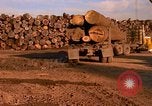 Standbild Holzstapel California United States USA, 1967, aus Sekunde 30 historischem Filmmaterial Videoclip 65675020971