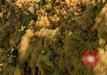 Standbild Trauben California United States USA, 1967, aus Sekunde 16 historischem Filmmaterial Videoclip 65675020972
