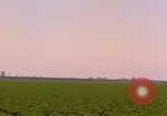 Standbild Weißkohl California United States USA, 1967, aus Sekunde 45 historischem Filmmaterial Videoclip 65675020974