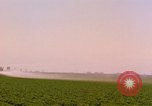 Standbild Weißkohl California United States USA, 1967, aus Sekunde 48 historischem Filmmaterial Videoclip 65675020974