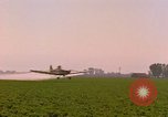 Standbild Weißkohl California United States USA, 1967, aus Sekunde 49 historischem Filmmaterial Videoclip 65675020974