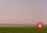 Standbild Weißkohl California United States USA, 1967, aus Sekunde 51 historischem Filmmaterial Videoclip 65675020974