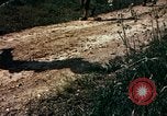 Image of Individual concealment United States USA, 1942, second 14 stock footage video 65675020986