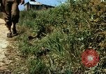 Image of Individual concealment United States USA, 1942, second 17 stock footage video 65675020986