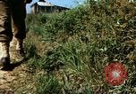 Image of Individual concealment United States USA, 1942, second 18 stock footage video 65675020986