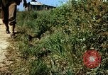 Image of Individual concealment United States USA, 1942, second 20 stock footage video 65675020986