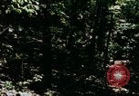 Image of Individual concealment United States USA, 1942, second 52 stock footage video 65675020986