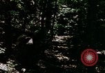 Image of Individual concealment United States USA, 1942, second 54 stock footage video 65675020986