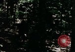 Image of Individual concealment United States USA, 1942, second 55 stock footage video 65675020986