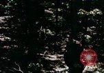 Image of Individual concealment United States USA, 1942, second 56 stock footage video 65675020986