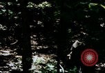 Image of Individual concealment United States USA, 1942, second 57 stock footage video 65675020986