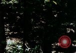Image of Individual concealment United States USA, 1942, second 58 stock footage video 65675020986