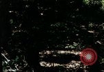 Image of Individual concealment United States USA, 1942, second 60 stock footage video 65675020986