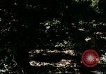 Image of Individual concealment United States USA, 1942, second 62 stock footage video 65675020986