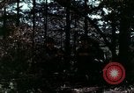 Image of Night vision principles United States USA, 1969, second 8 stock footage video 65675020989
