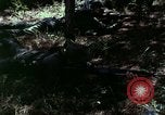 Image of Night vision principles United States USA, 1969, second 49 stock footage video 65675020989