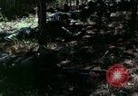 Image of Night vision principles United States USA, 1969, second 51 stock footage video 65675020989