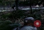 Image of Night vision principles United States USA, 1969, second 62 stock footage video 65675020989