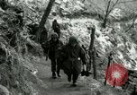 Image of 40th Infantry Division Seoul Korea, 1953, second 17 stock footage video 65675020990