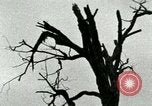 Standbild Heerlager der 45th Infantry Division der Vereinigten Staaten Korea, 1953, aus Sekunde 7 historischem Filmmaterial Videoclip 65675021003