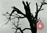 Standbild Heerlager der 45th Infantry Division der Vereinigten Staaten Korea, 1953, aus Sekunde 11 historischem Filmmaterial Videoclip 65675021003