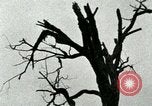 Standbild Heerlager der 45th Infantry Division der Vereinigten Staaten Korea, 1953, aus Sekunde 21 historischem Filmmaterial Videoclip 65675021003