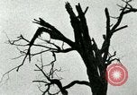 Standbild Heerlager der 45th Infantry Division der Vereinigten Staaten Korea, 1953, aus Sekunde 24 historischem Filmmaterial Videoclip 65675021003