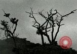 Standbild Heerlager der 45th Infantry Division der Vereinigten Staaten Korea, 1953, aus Sekunde 27 historischem Filmmaterial Videoclip 65675021003