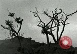 Standbild Heerlager der 45th Infantry Division der Vereinigten Staaten Korea, 1953, aus Sekunde 31 historischem Filmmaterial Videoclip 65675021003