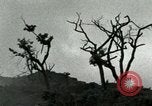 Standbild Heerlager der 45th Infantry Division der Vereinigten Staaten Korea, 1953, aus Sekunde 32 historischem Filmmaterial Videoclip 65675021003