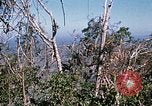Standbild Nui Ba den Berg Assault Vietnam, 1970, aus Sekunde 44 historischem Filmmaterial Videoclip 65675021007
