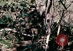 Standbild Nui Ba den Berg Assault Vietnam, 1970, aus Sekunde 60 historischem Filmmaterial Videoclip 65675021007