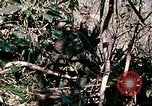Standbild Nui Ba den Berg Assault Vietnam, 1970, aus Sekunde 61 historischem Filmmaterial Videoclip 65675021007